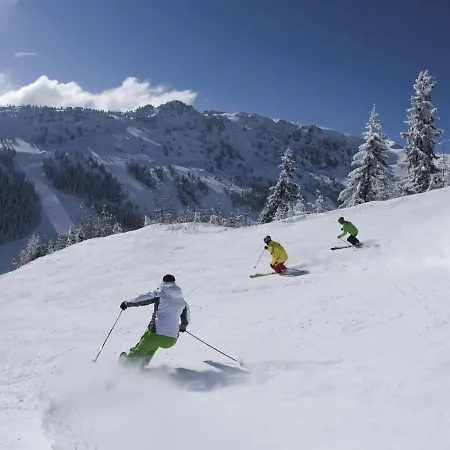 Quiet Flat Near The Mayrhofen Area *